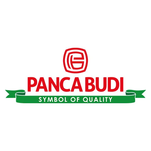 Pancabudi